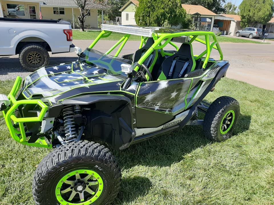 Honda Talon Deluxe Cage