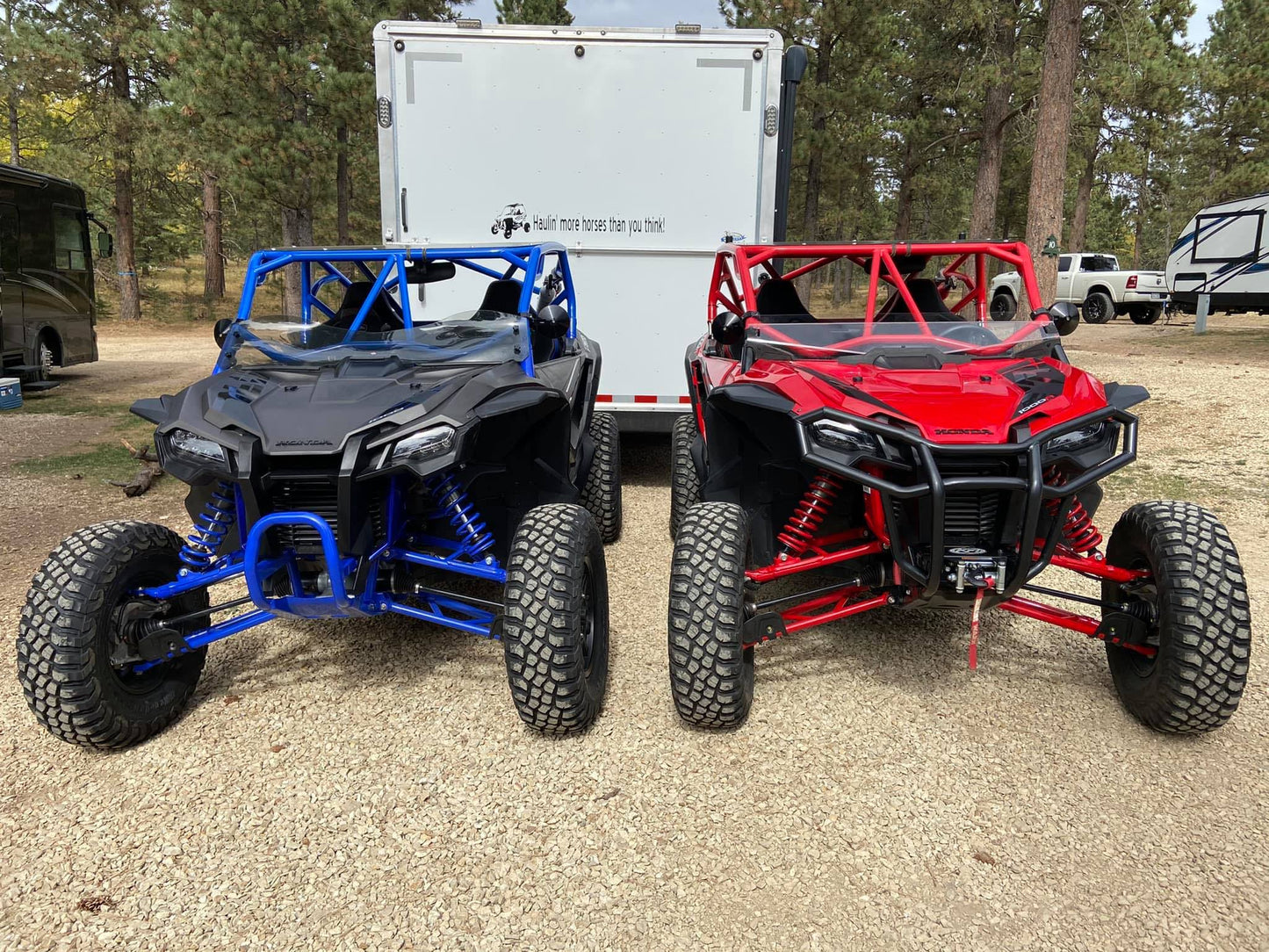 Honda Talon Deluxe Cage
