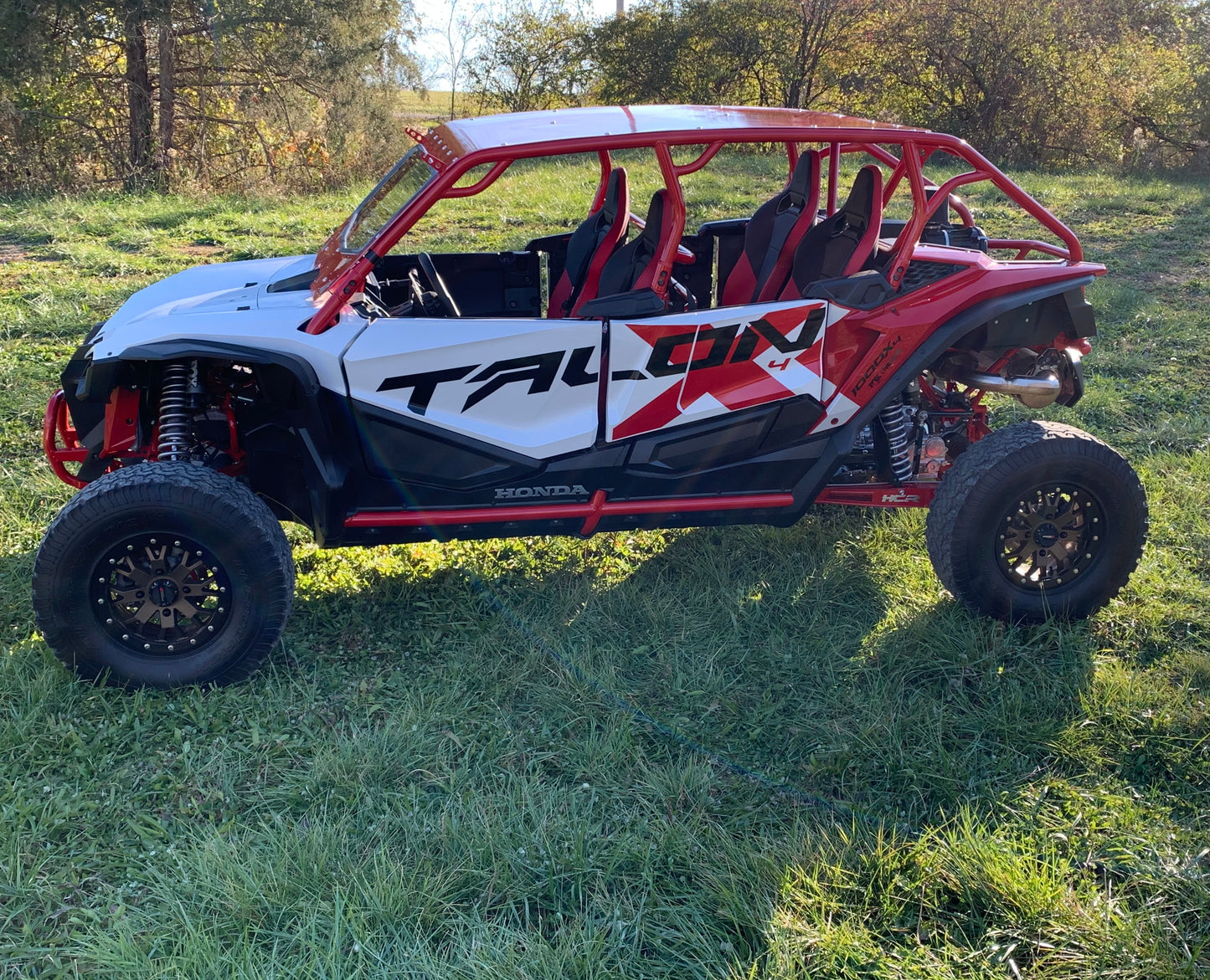 Honda Talon Deluxe-4 Cage