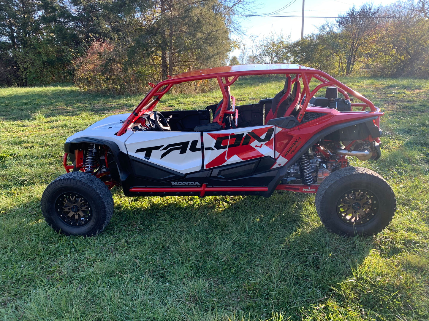 Honda Talon Deluxe-4 Cage